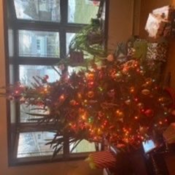 Meet your Posher, Crissa - Picture 1 of 1